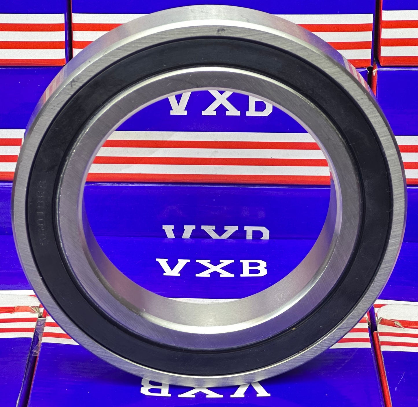 S6018-2RS Food Grade Stainless Steel Ball Bearing