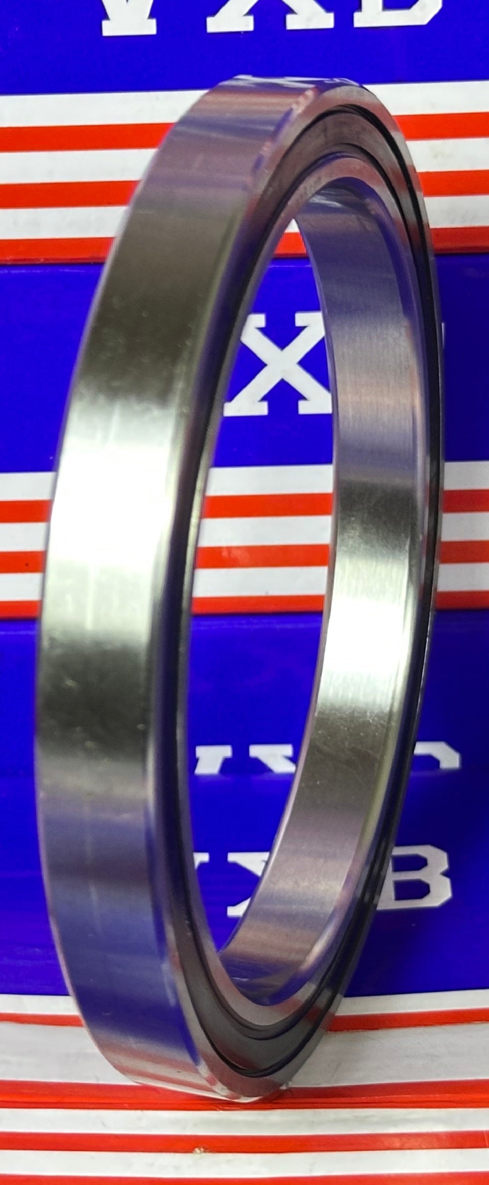 S6819-2RS Food Grade Stainless Steel Ball Bearing