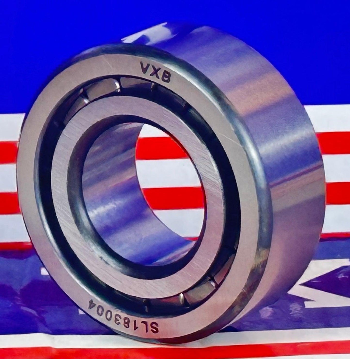 SL183004 Sheave Bearing 2-Row Full Complement Bearing 20x42x16mm