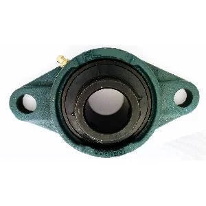 1" Bearing UCFL205-16 Black Oxide Plated Insert + 2-Bolt Flanged Cast Housing Mounted Bearing