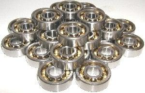 100 Skate Bearing Bronze Cage Open
