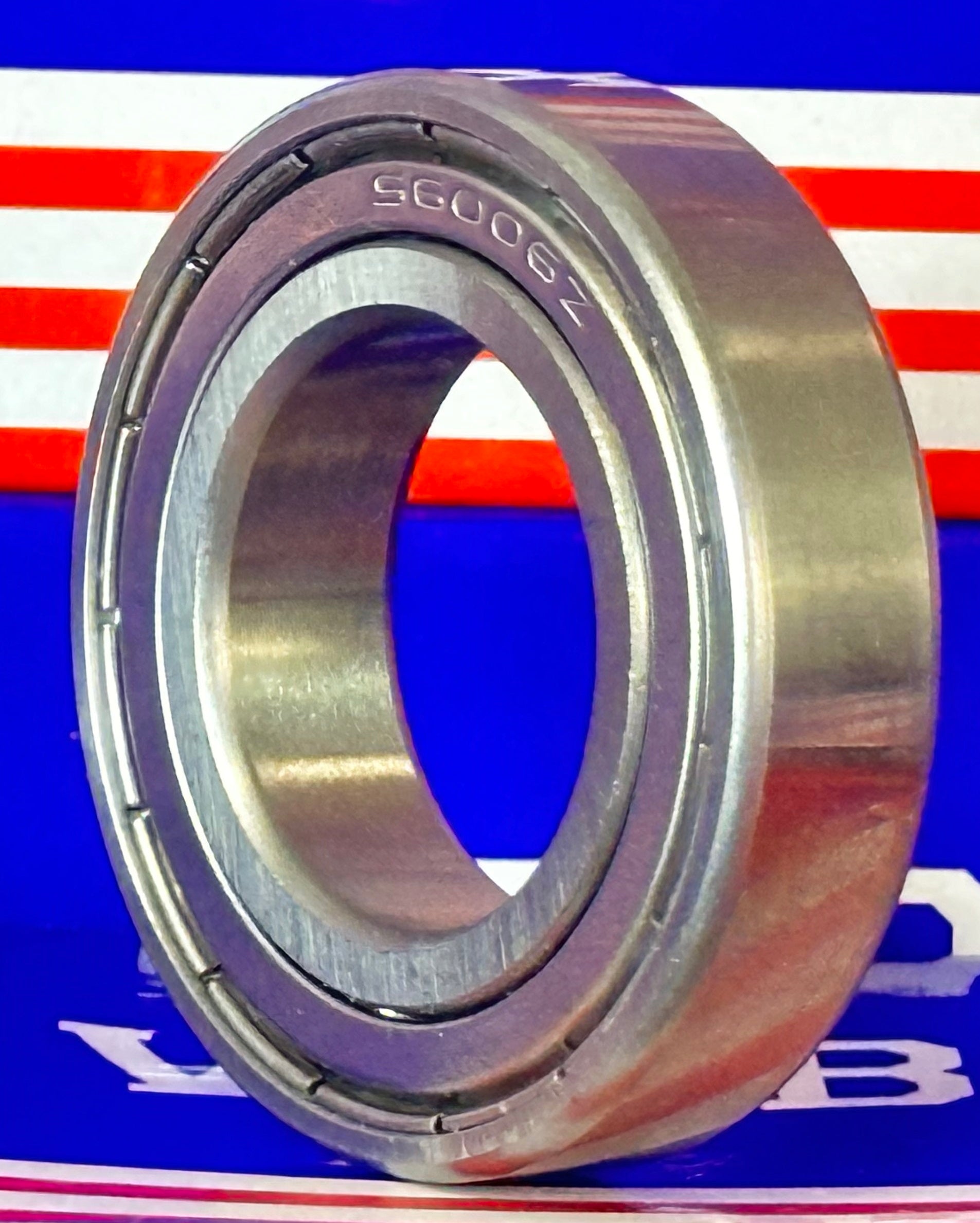 S6006ZZ Stainless Steel Ball Bearing