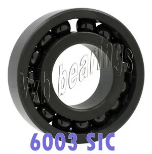 6003 Full Complement Full Ceramic Bearing SIC Silicon Carbide 17x35x10mm