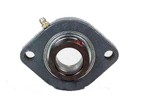 FHFD202-10 Bearing Flange 2 Bolt 5/8 Inch