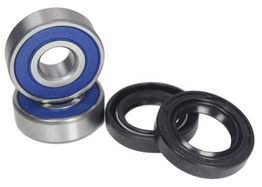 Honda TRX250 RECON ATV Front Wheel Bearing Kit 2006-2009