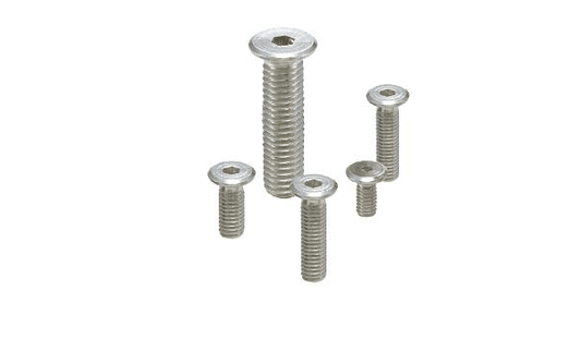 M8 35mm Long Low Profile Stainless Steel Hexagon Screw