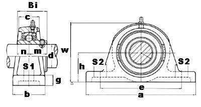 SL205-16 1 FYH Pillow Block Bearing Mounted Bearing